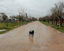 IMG_20180910_115802 10/09/2018 - Certains vilages de l'arrière pays argentin paraissent relativement pauvres. ...so this was the main street in Libanon, just the dog waiting for us...